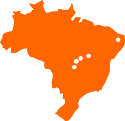Logo da Social News